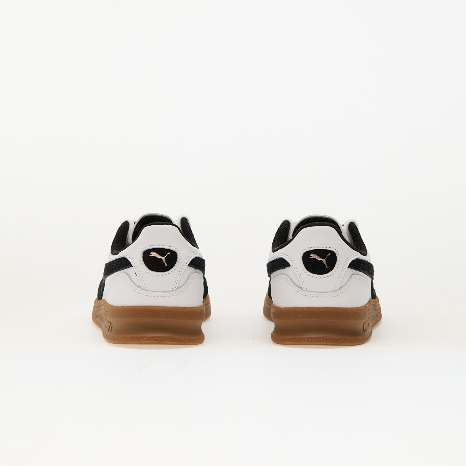 Men's shoes Puma Indoor Puma White-Puma Black-Gum