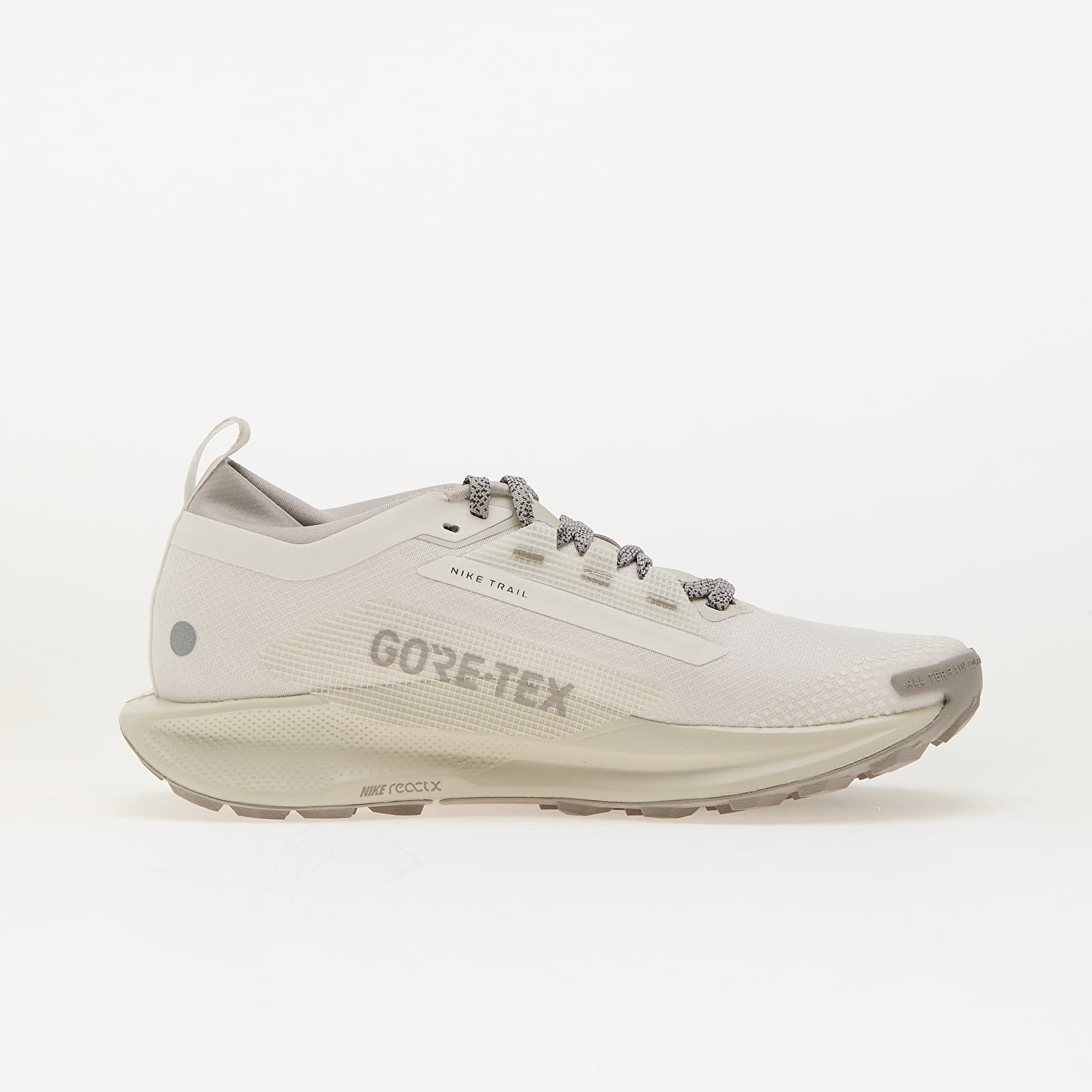 Men's shoes Nike Pegasus Trail 5 Gore-Tex Summit White/ College Grey-Light Bone