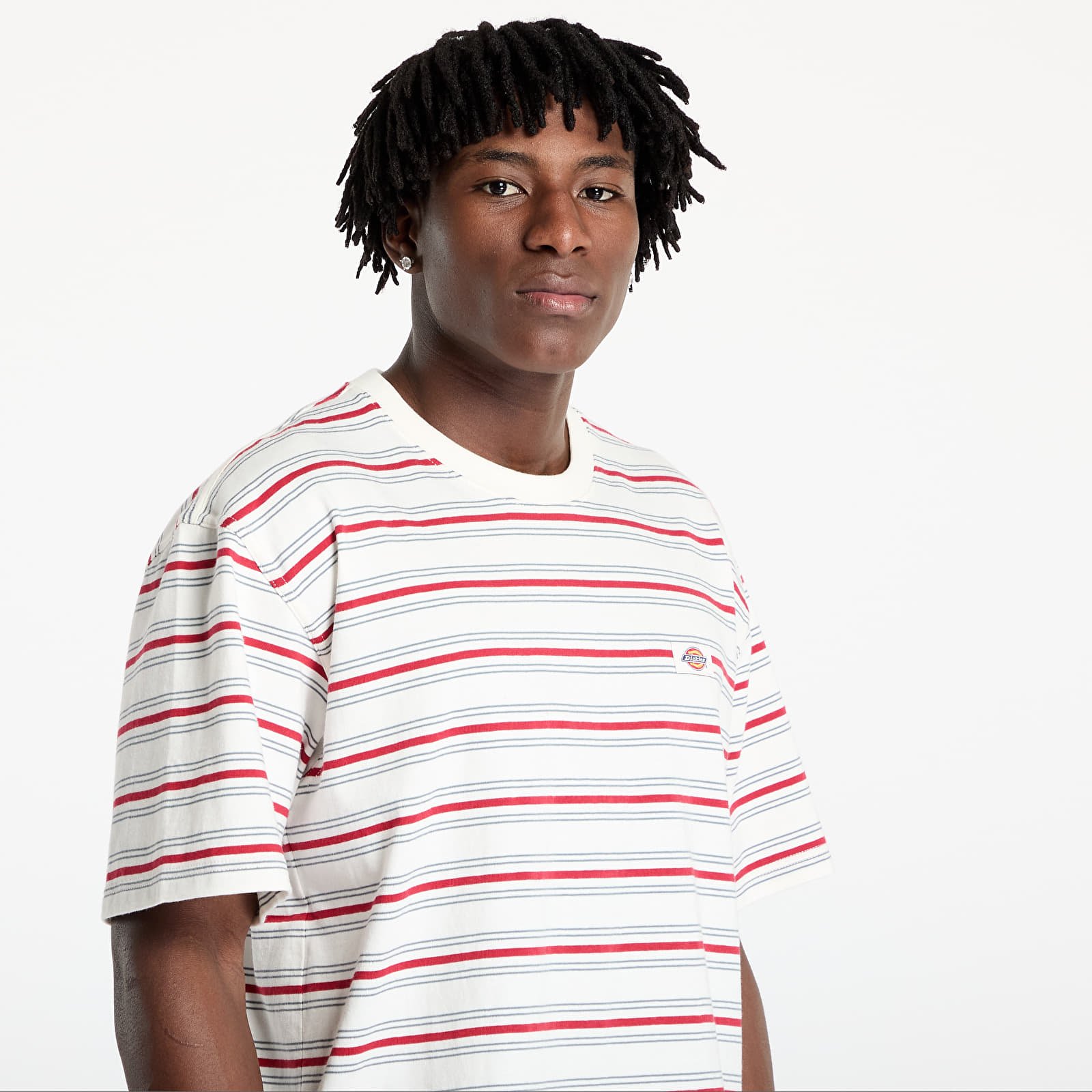 T-shirts Dickies Lewistown Stripe Short Sleeve Tee Egret