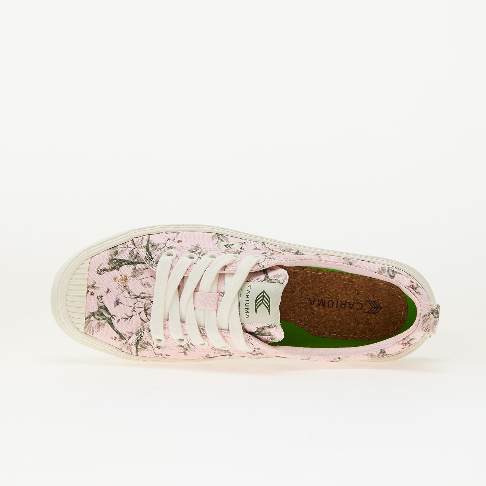 Sapatos de homem Cariuma M OCA Low Pale Lilac Parrot Print