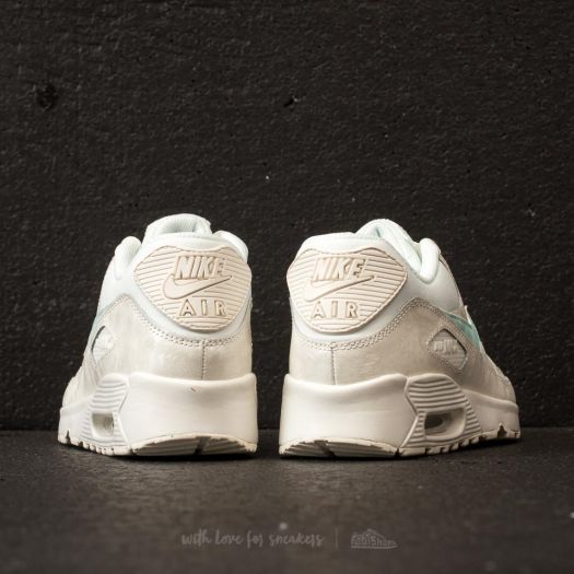 air max 90 sail igloo