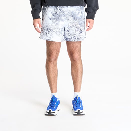 Shorts Nike ACG "Reservoir Goat" Men's Print Shorts Football Grey/ Thunder Blue/ Summit White