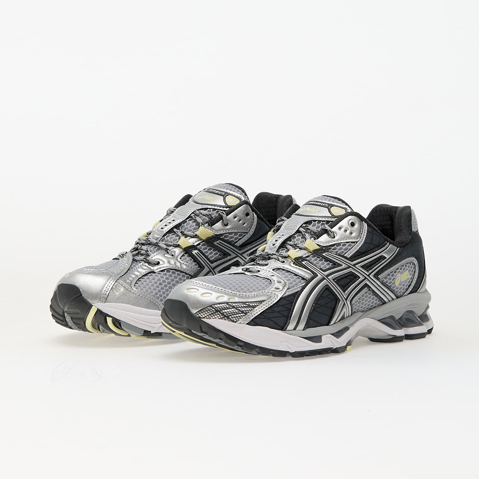 Naiste jalatsid Asics GEL-NIMBUS 10.1 Piedmont Grey/ Graphite Grey