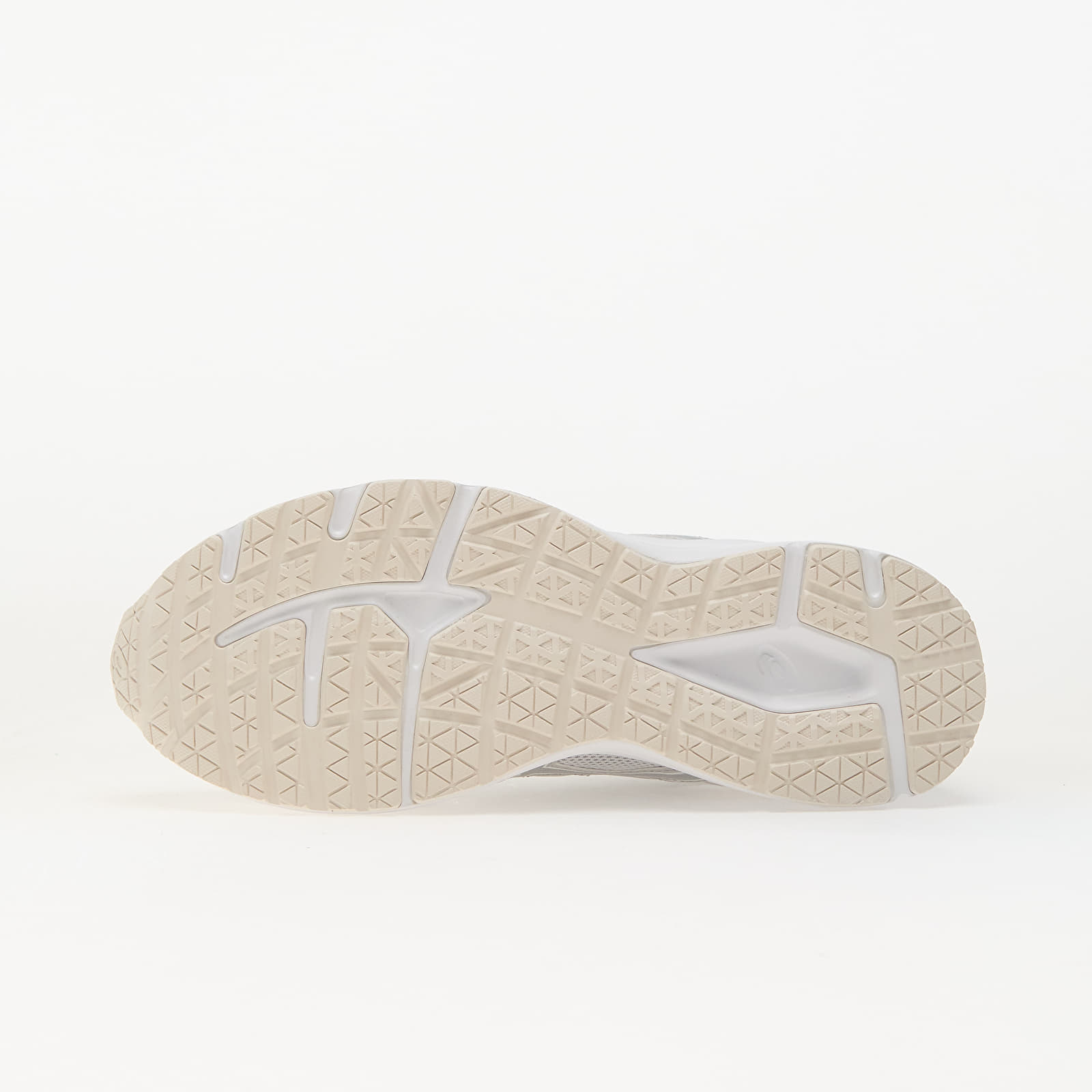 Women's shoes Asics Jog 100S Cloud Grey/ Pure Silver