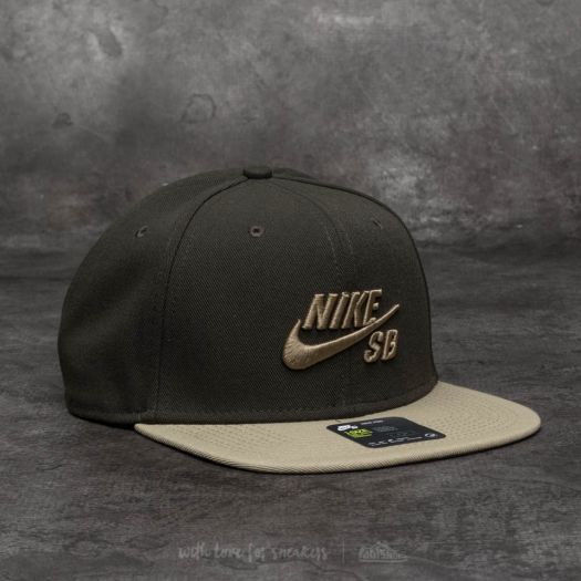 Nike sb sale pro cap