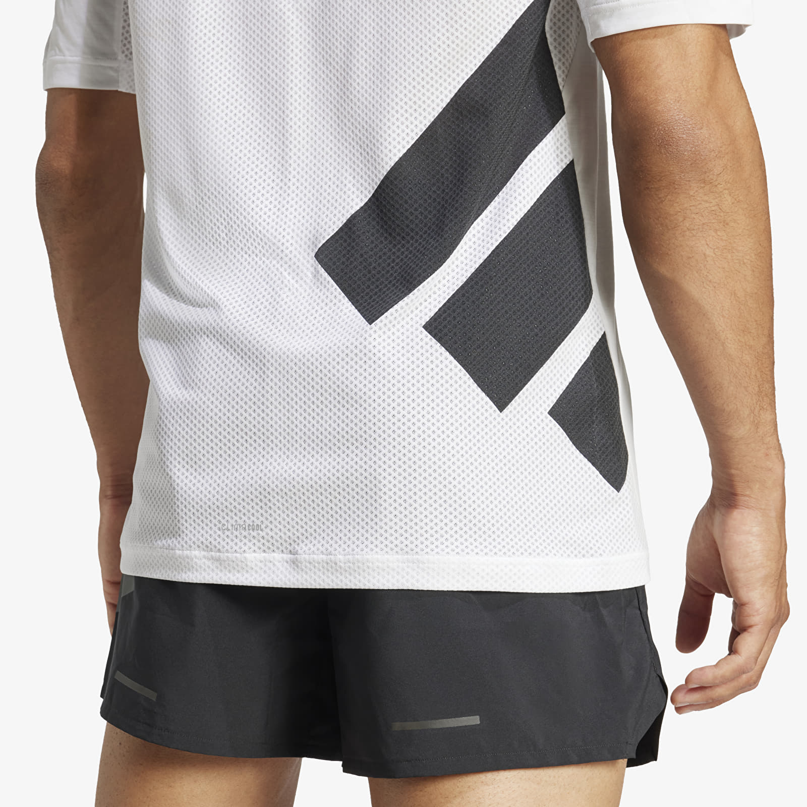 Meeste T-särgid adidas Terrex Xperior Climacool+ T-Shirt White/ White