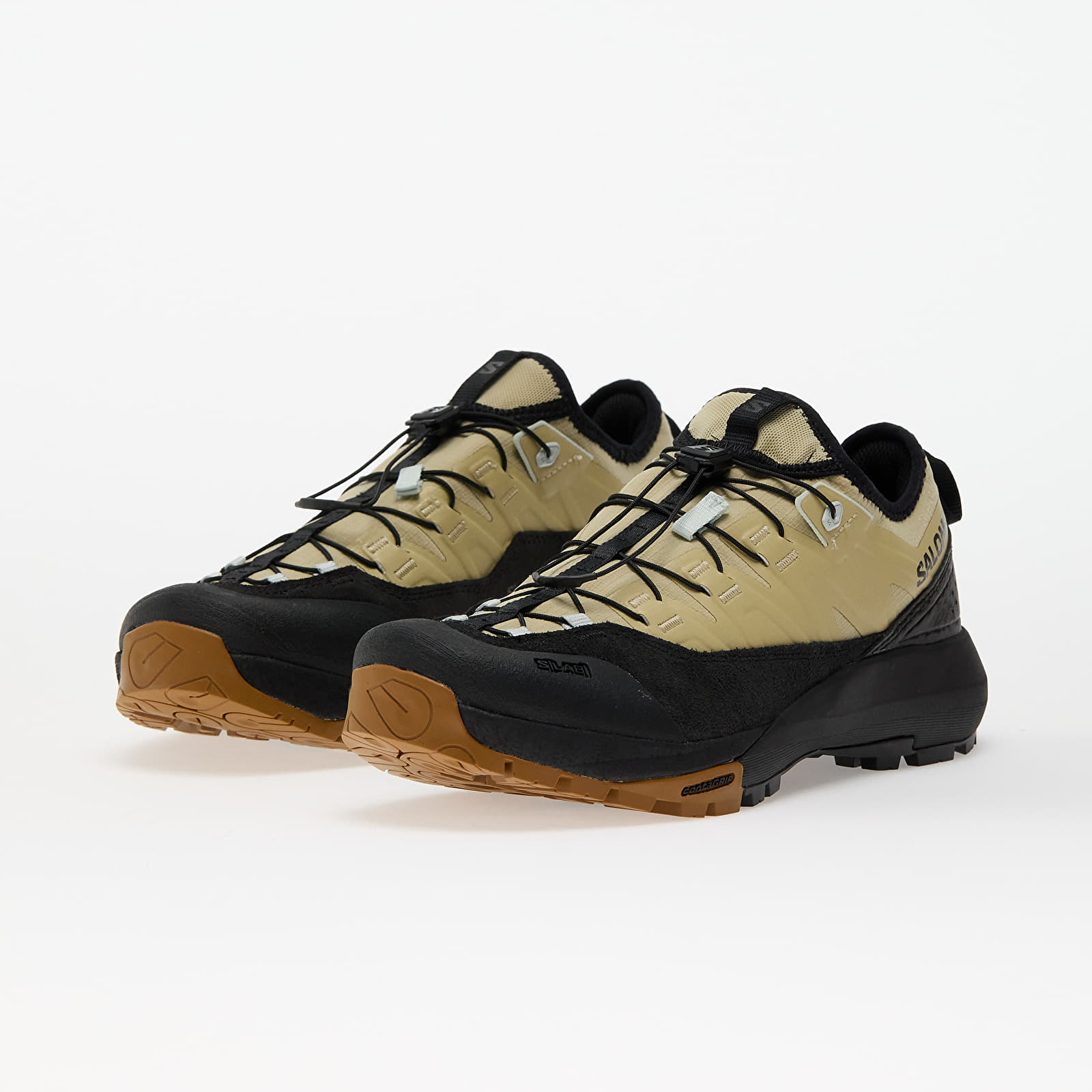 Men's shoes Salomon ALPINWAY ADVANCED Paleol/ Black/ Ice