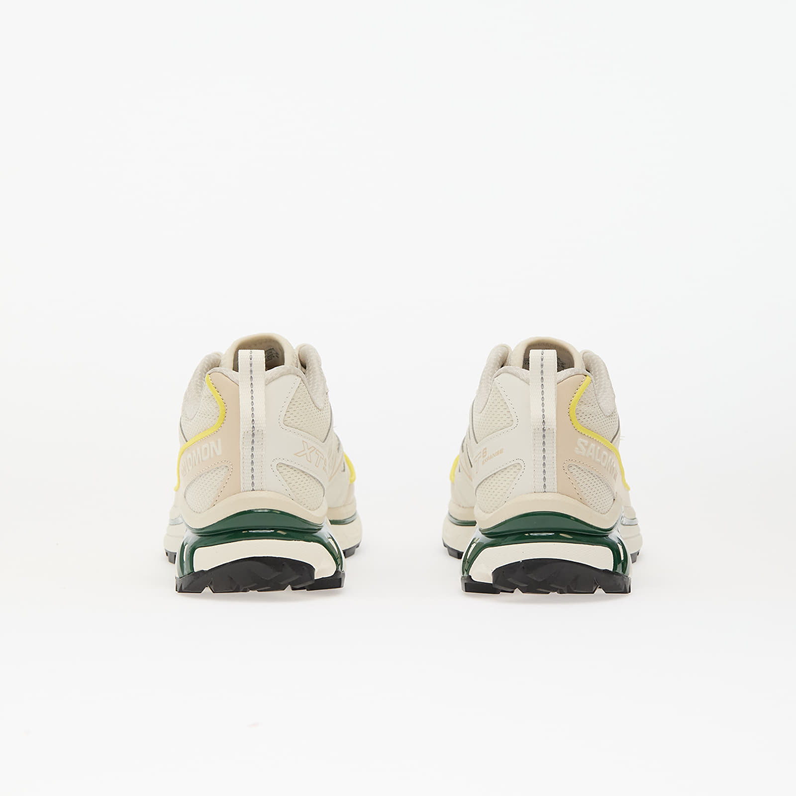 Men's shoes Salomon XT-6 EXPANSE Vanila/ Almilk/ Eden