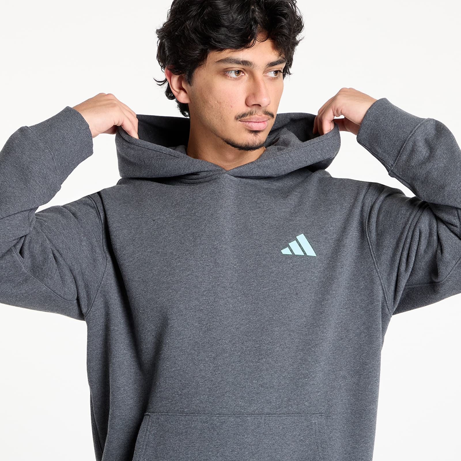 Vyriški džemperiai su gobtuvais adidas Mercedes - AMG Petronas Formula One Team Premium Sweat Hood Dark Grey Heather