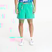 Nike ACG Men's Hiking Shorts Stadium Green/ Summit White