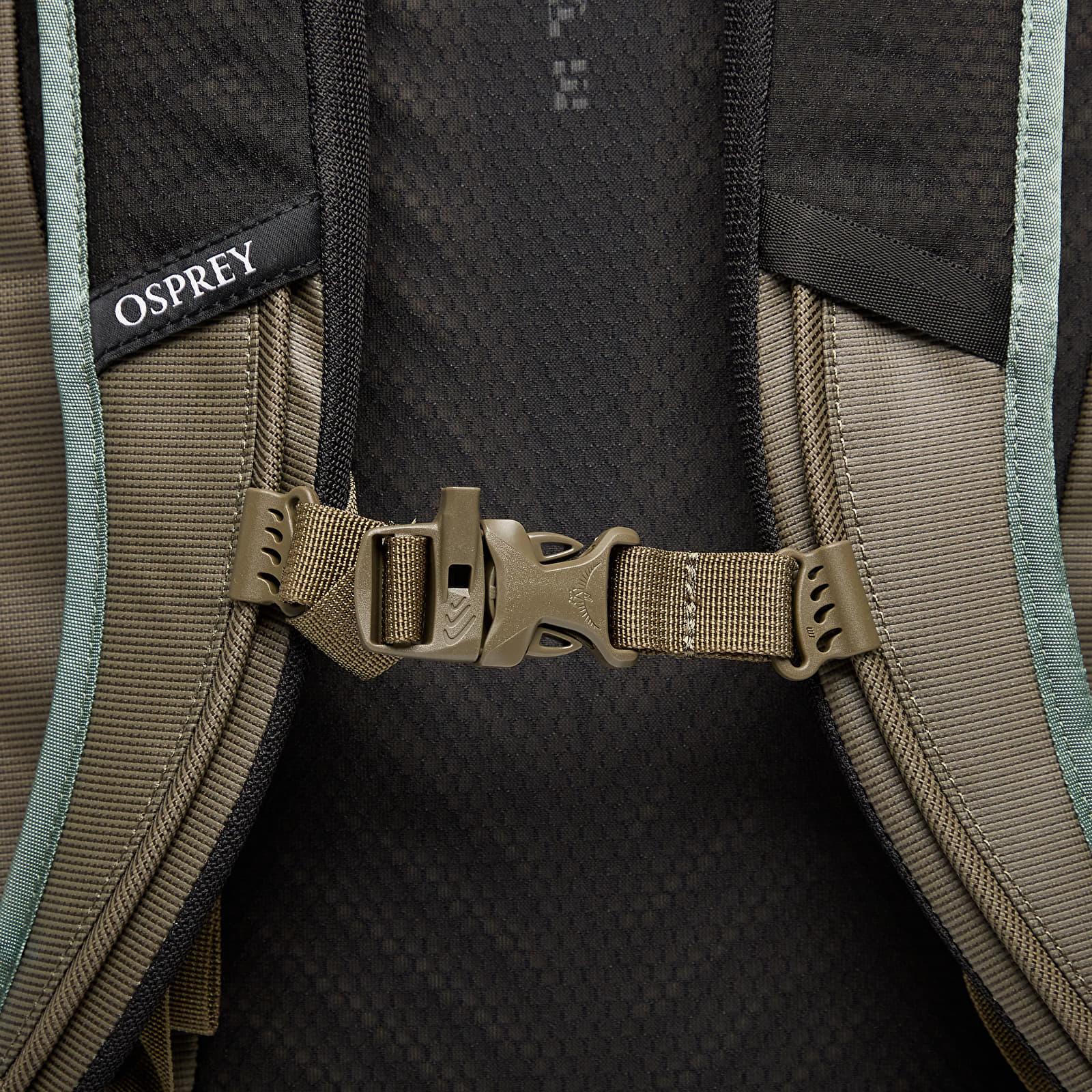 Ryggsäckar Osprey Transporter Roll Top Pack Pine Leaf/ Earl Grey