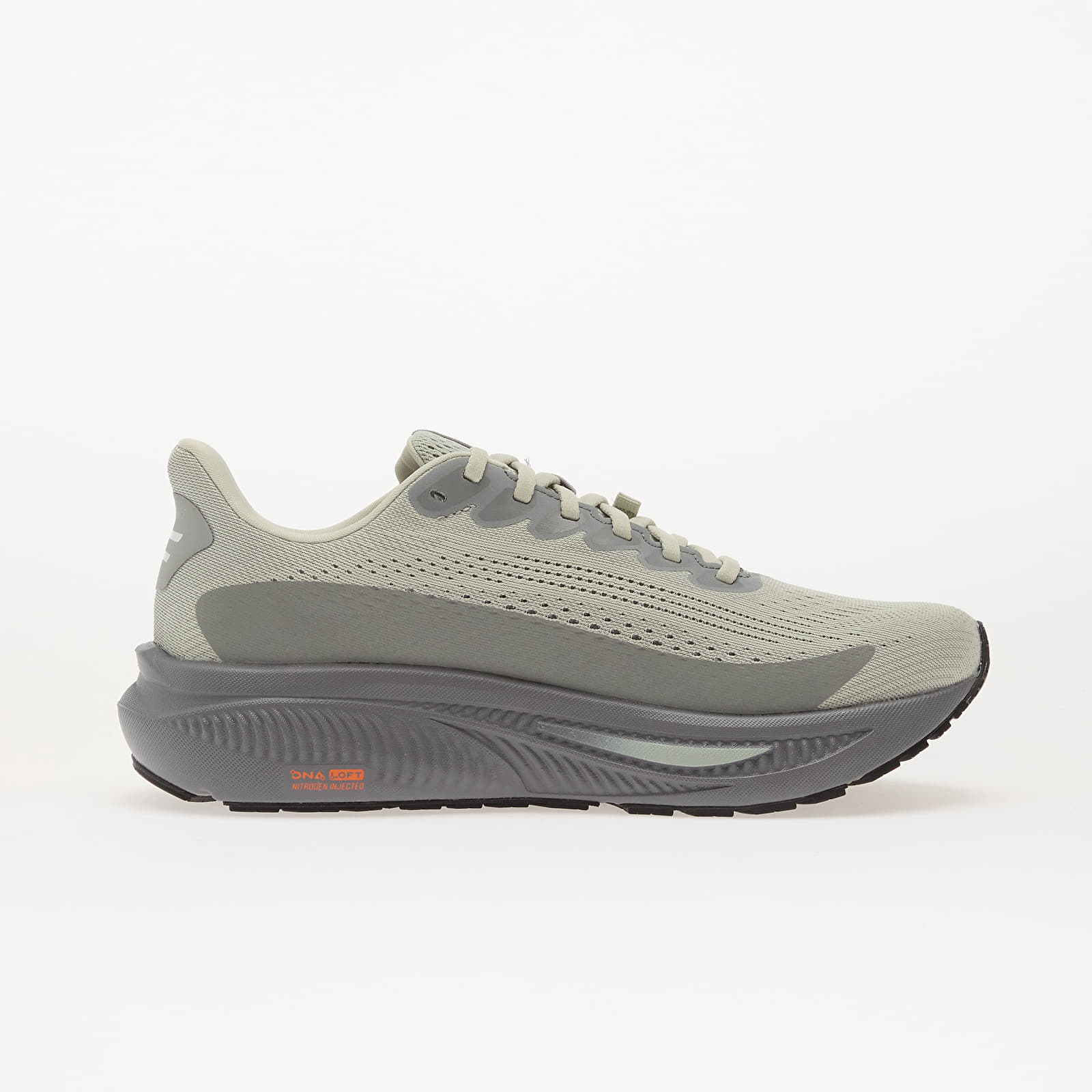 Vyriška avalynė Brooks Ghost 17 GTX M Smoke/ Primer Grey/ Orange