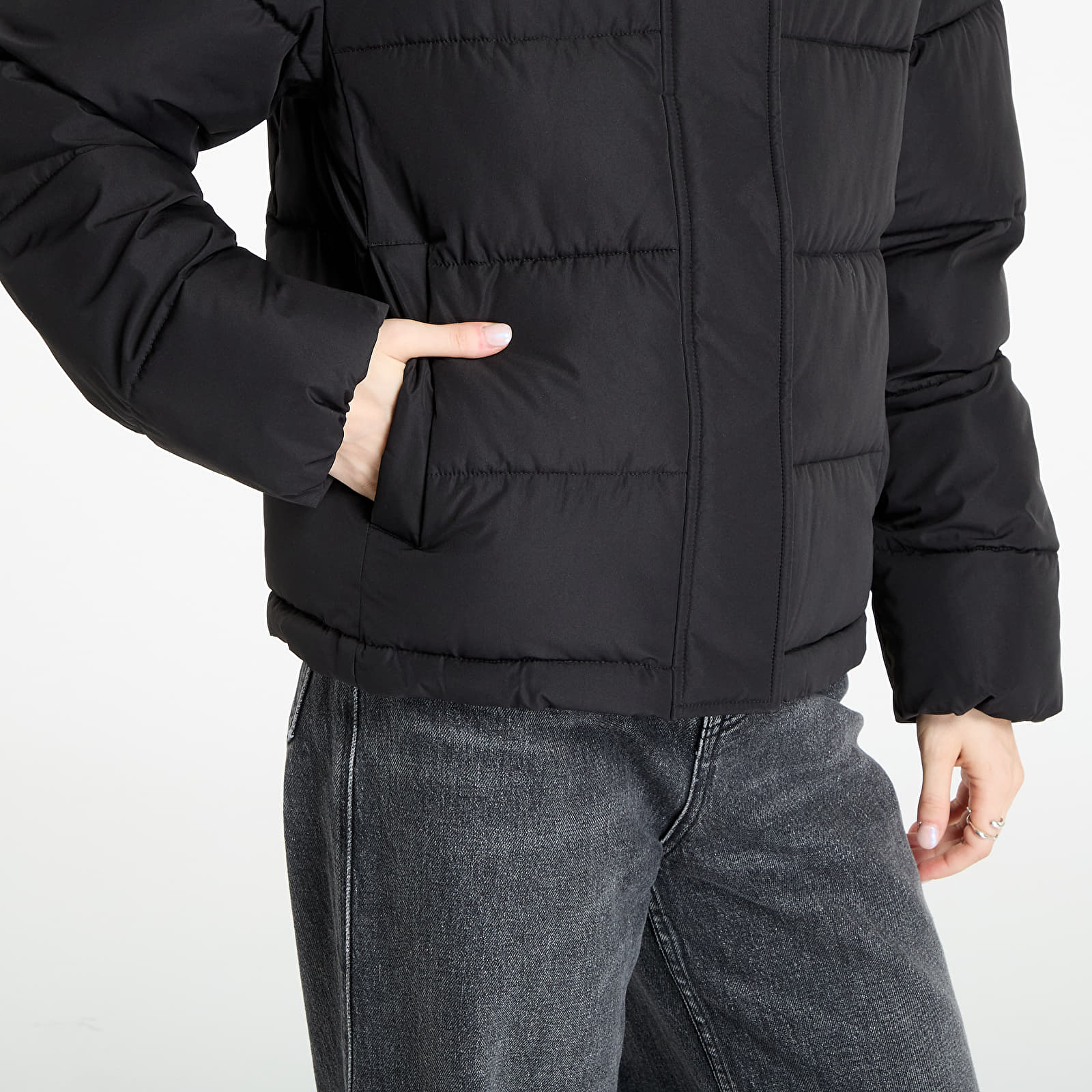 Puffer jackets Calvin Klein Jeans Matte Monologo Short Jacket Black