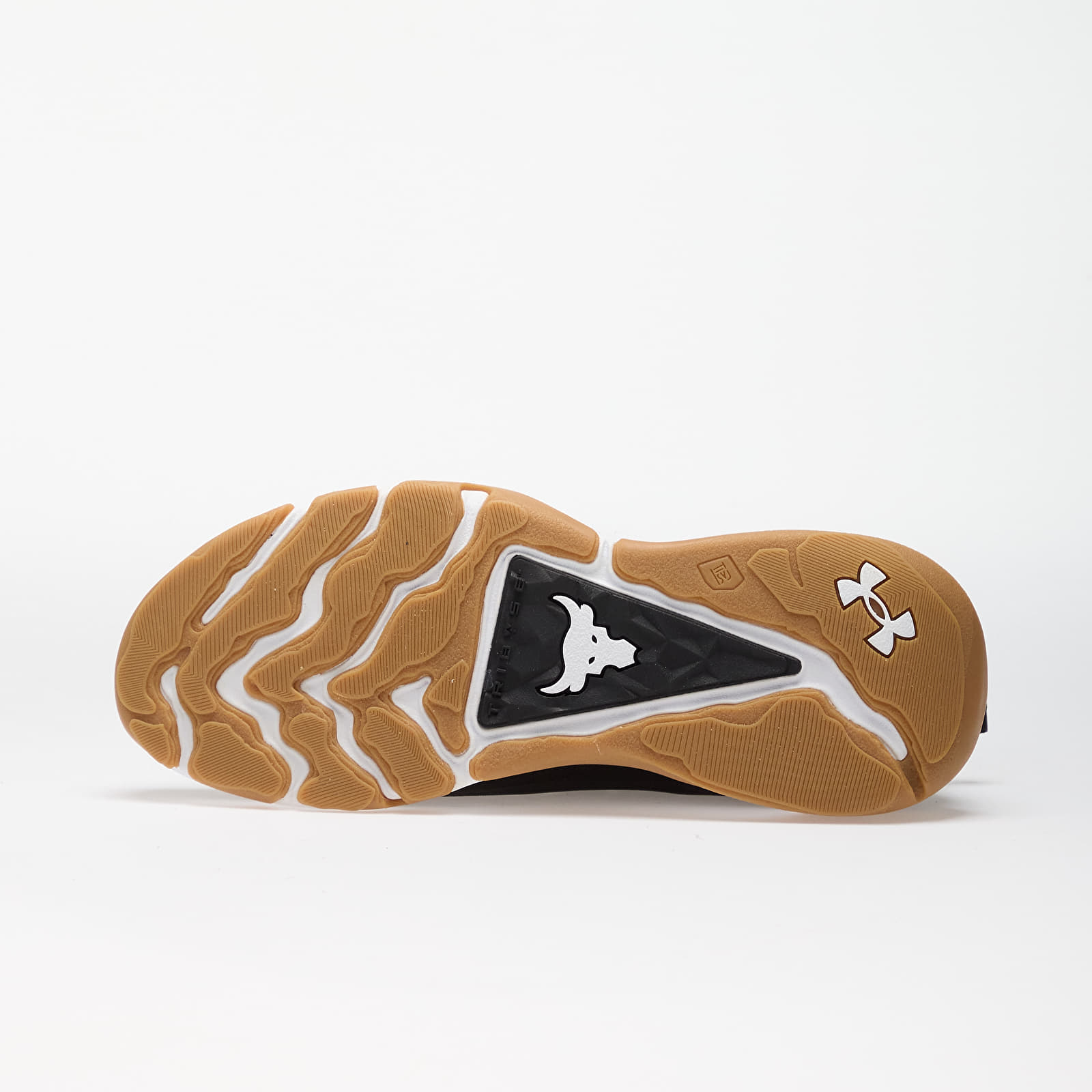 Men's shoes Under Armour Project Rock 8 Black