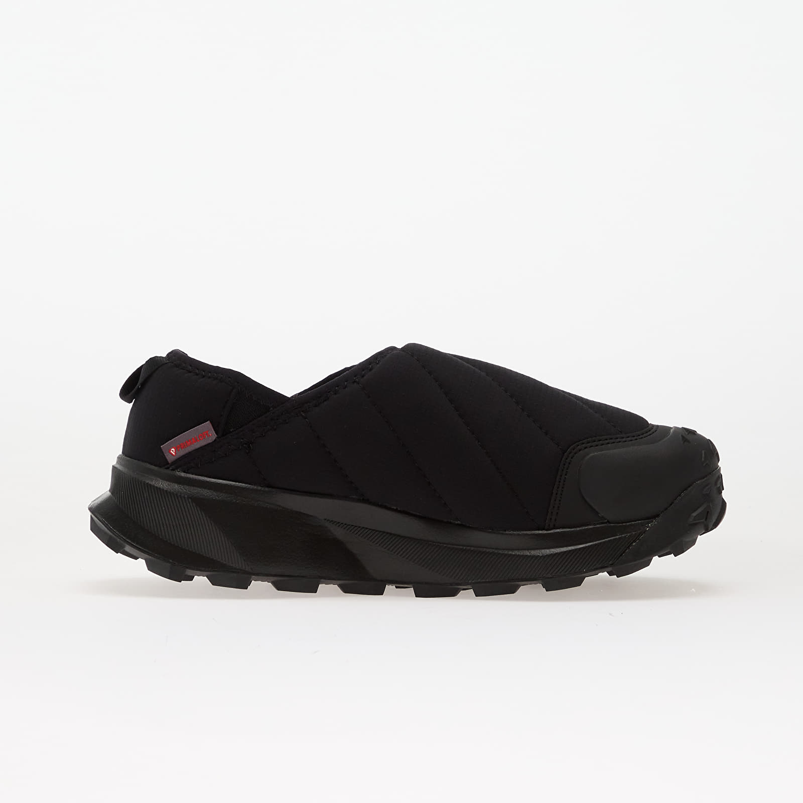 Meeste kingad adidas Terrex Winter Slip On Cold.Rdy Core Black/ Core Black/ Grey Four