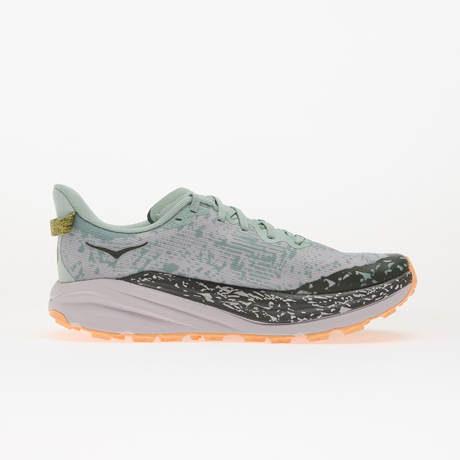 Naiste jalatsid Hoka® W Speedgoat 6 Gtx Jade/ Ash Grey