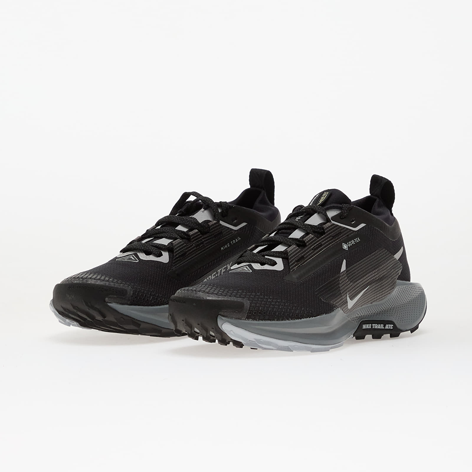Дамски кецове и обувки Nike W Pegasus Trail 5 Gtx Black/ Wolf Grey-Cool Grey-Anthracite-Reflect Silver
