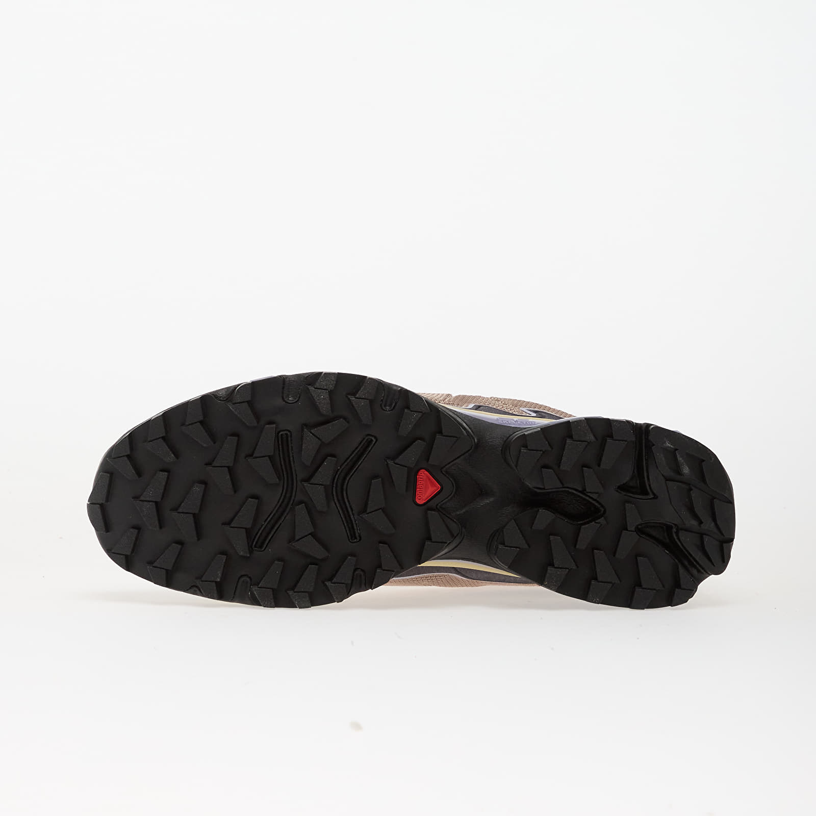 Ανδρικά παπούτσια Salomon XT-Slate Etherea/ Nine Iron/ Cosmic
