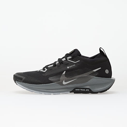 Nike Pegasus Trail 5 Gtx Black/ Wolf Grey-Cool Grey-Anthracite-Reflect Silver