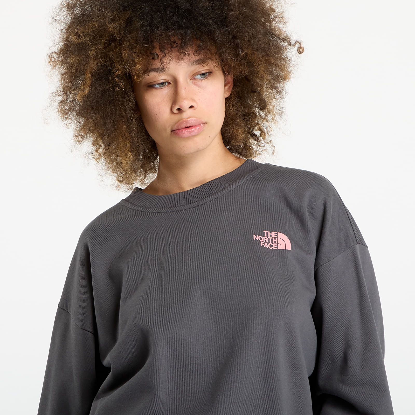 Dukserice The North Face U Expedition Celebration Oversized Crew UNISEX Anthracite Grey