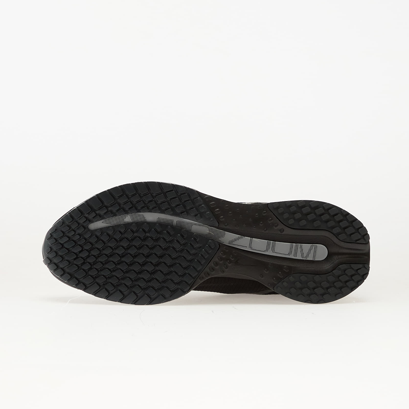 Miesten kengät Nike Pegasus Premium Sp Black/ Metallic Silver-White