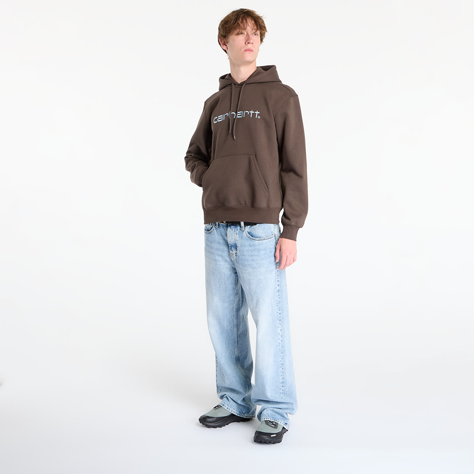 Hoodies and sweatshirts  Carhartt WIP Hooded Carhartt Sweat UNISEX Vitola/ Citadel