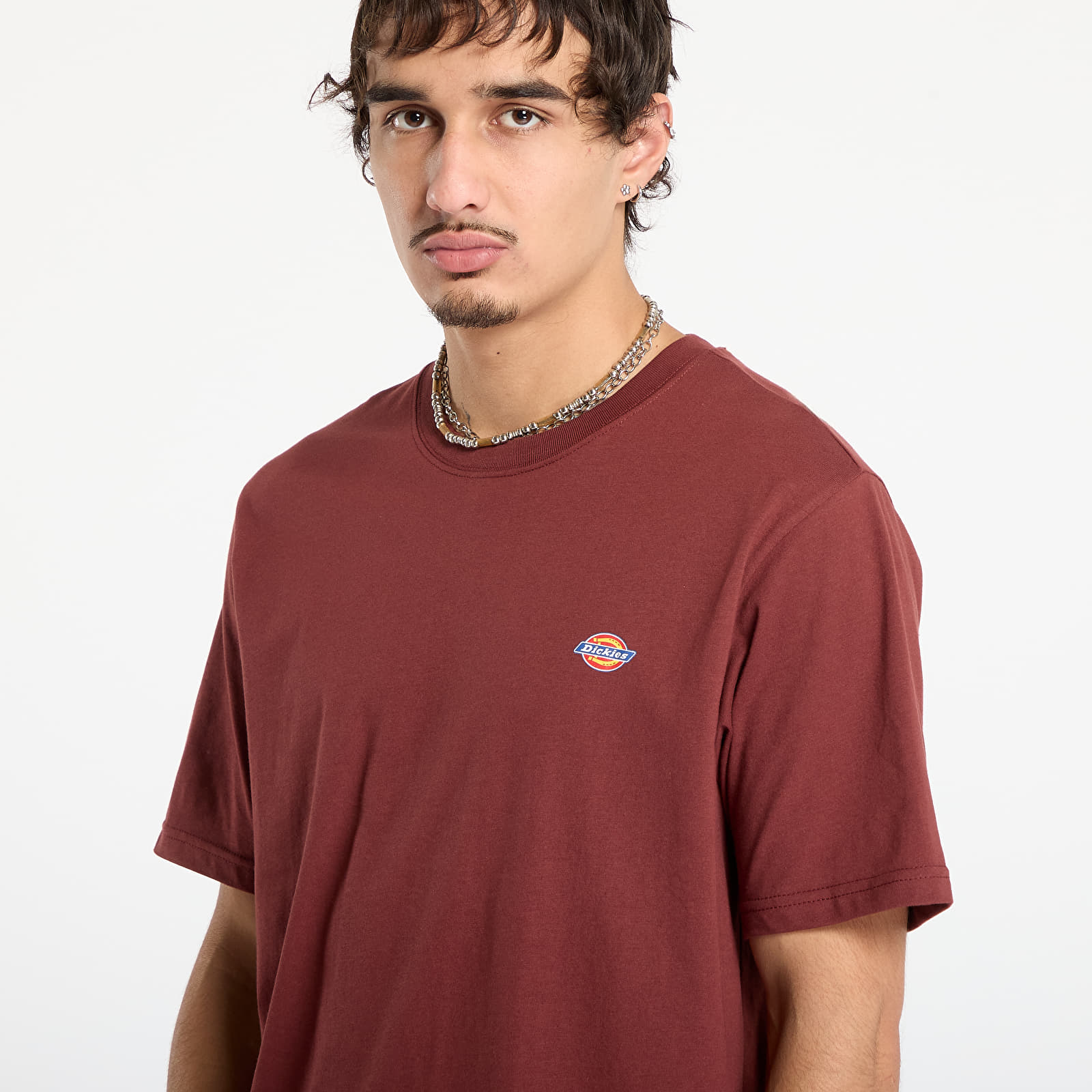 Trička Dickies Mapleton Ss Tee Andorra