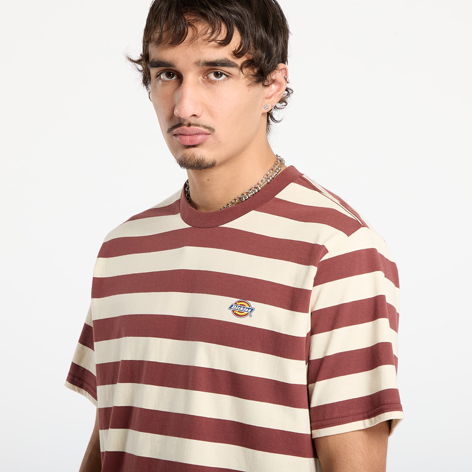 Majice T-shirt Dickies Rivergrove Ss Tee Andorra