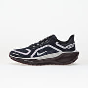 Nike Pegasus 41 Gore-Tex Dark Obsidian/ Pure Platinum-Black