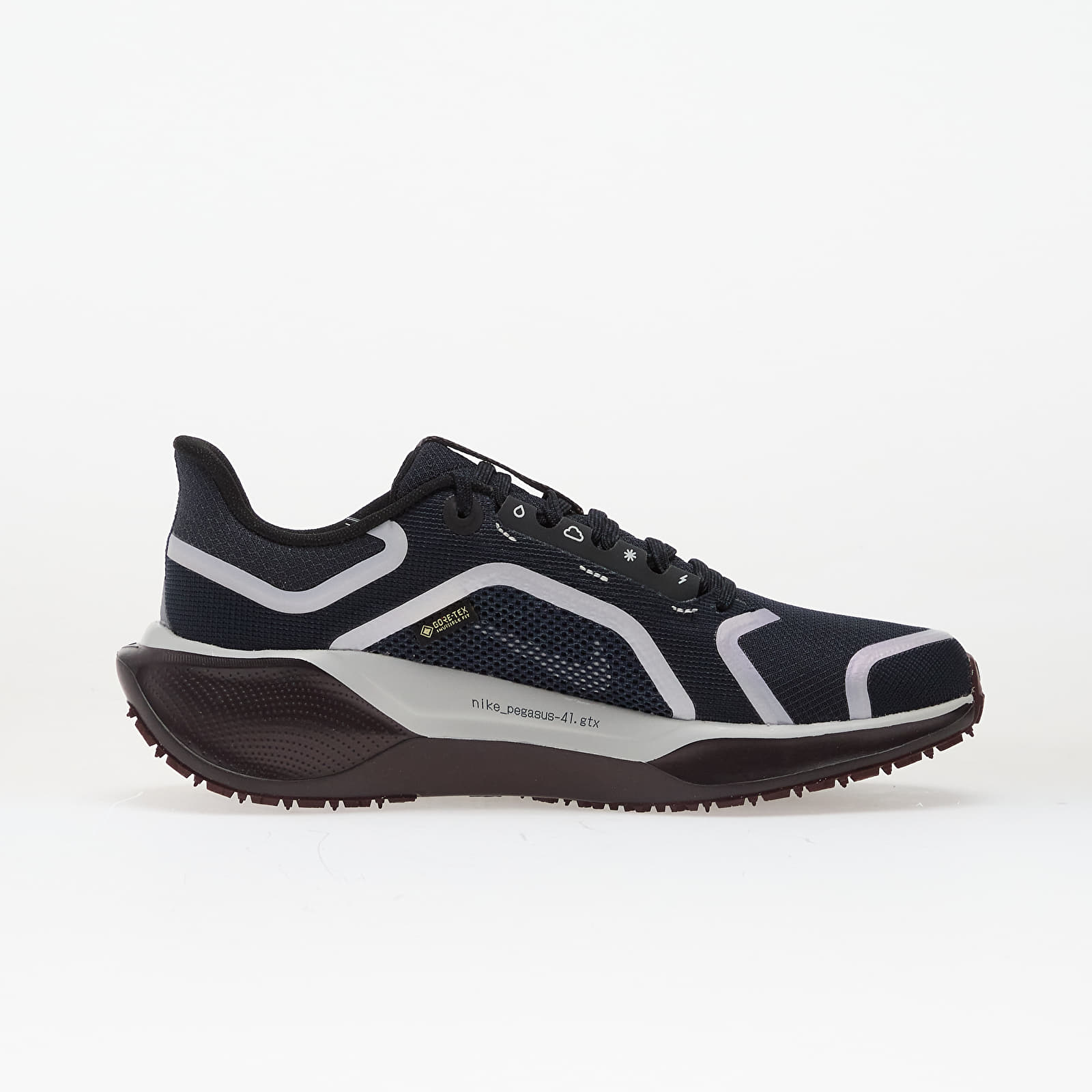 Sapatos de mulher Nike Pegasus 41 Gore-Tex Dark Obsidian/ Pure Platinum-Black