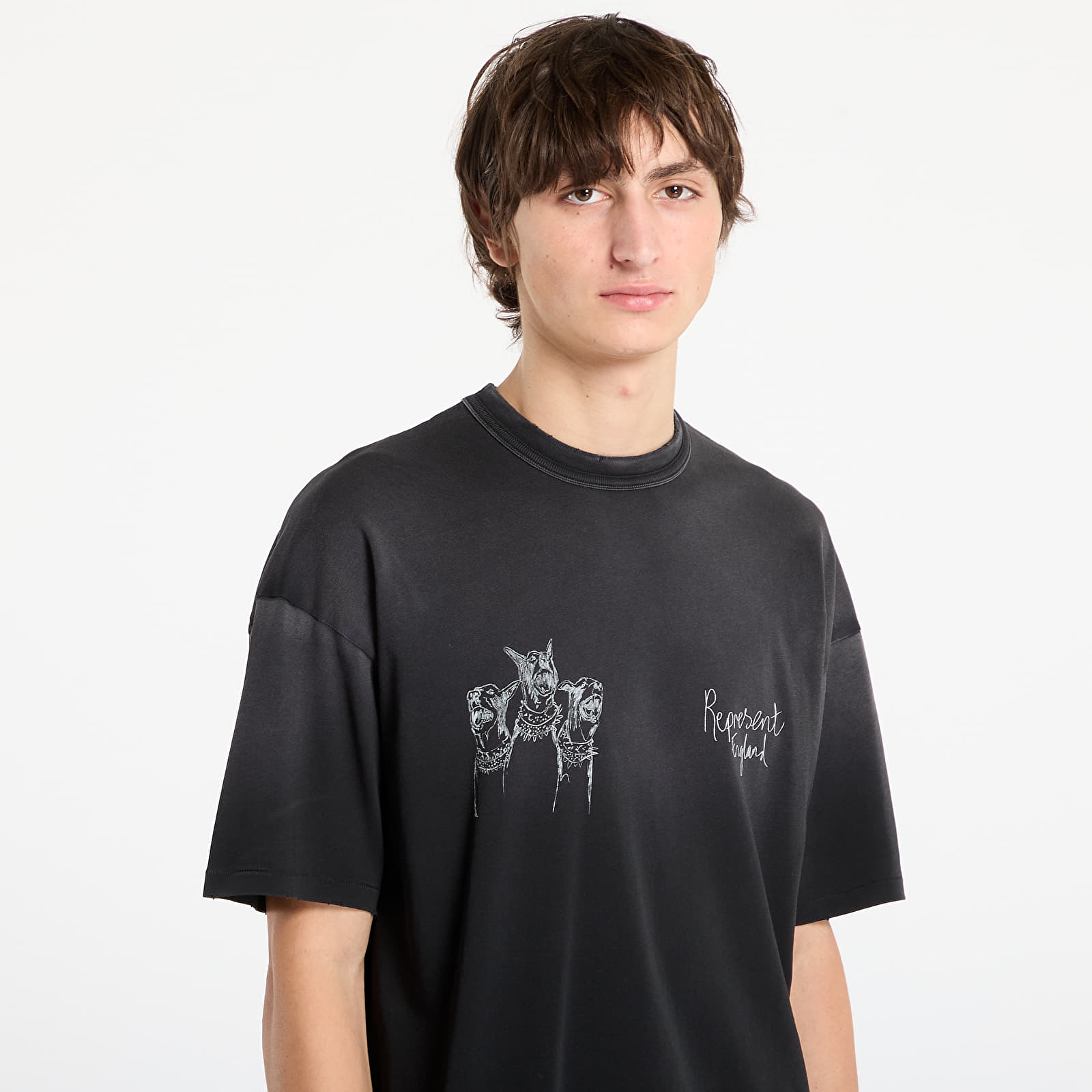 Koszulki REPRESENT Hand Drawn Thoroughbred Dogs T-Shirt Aged Black
