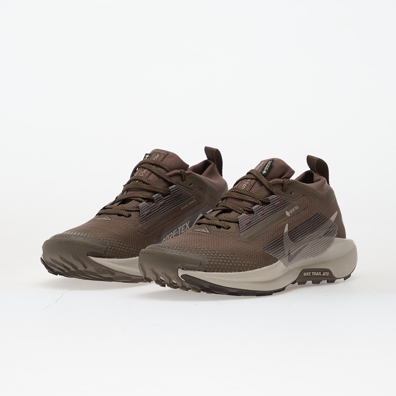Sko til mænd Nike Pegasus Trail 5 Gore-Tex Ironstone/ College Grey-Velvet Brown