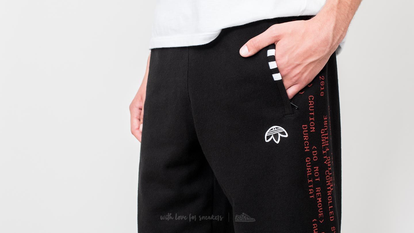Adidas x hotsell alexander wang pants
