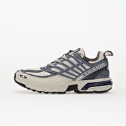 Salomon Acs Pro Gtx LunRoc/ Grisai/ Pkiten