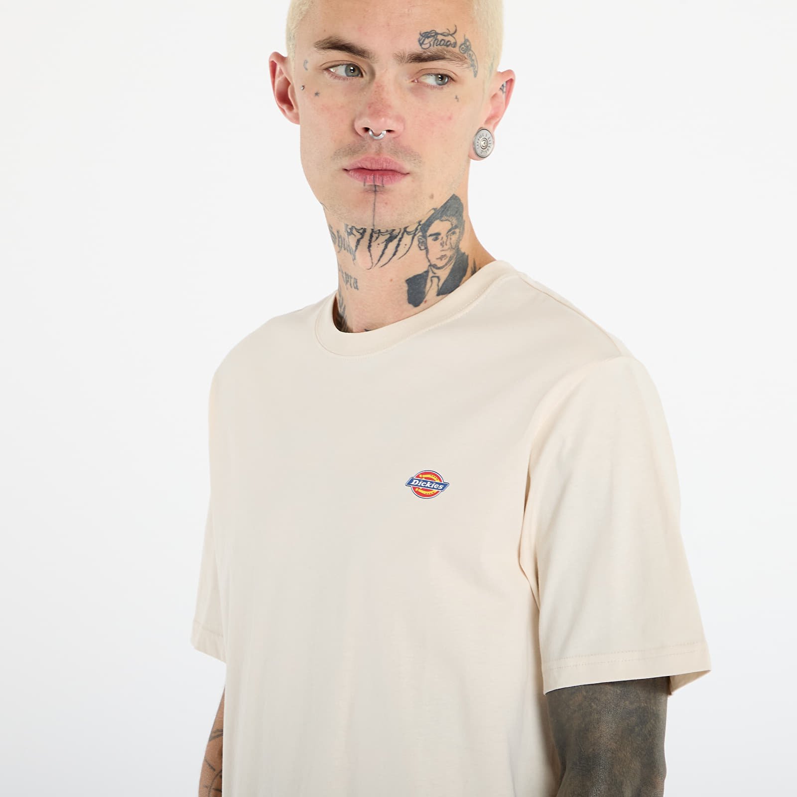 T-Shirts Dickies Mapleton Ss Tee Whitecap Gray