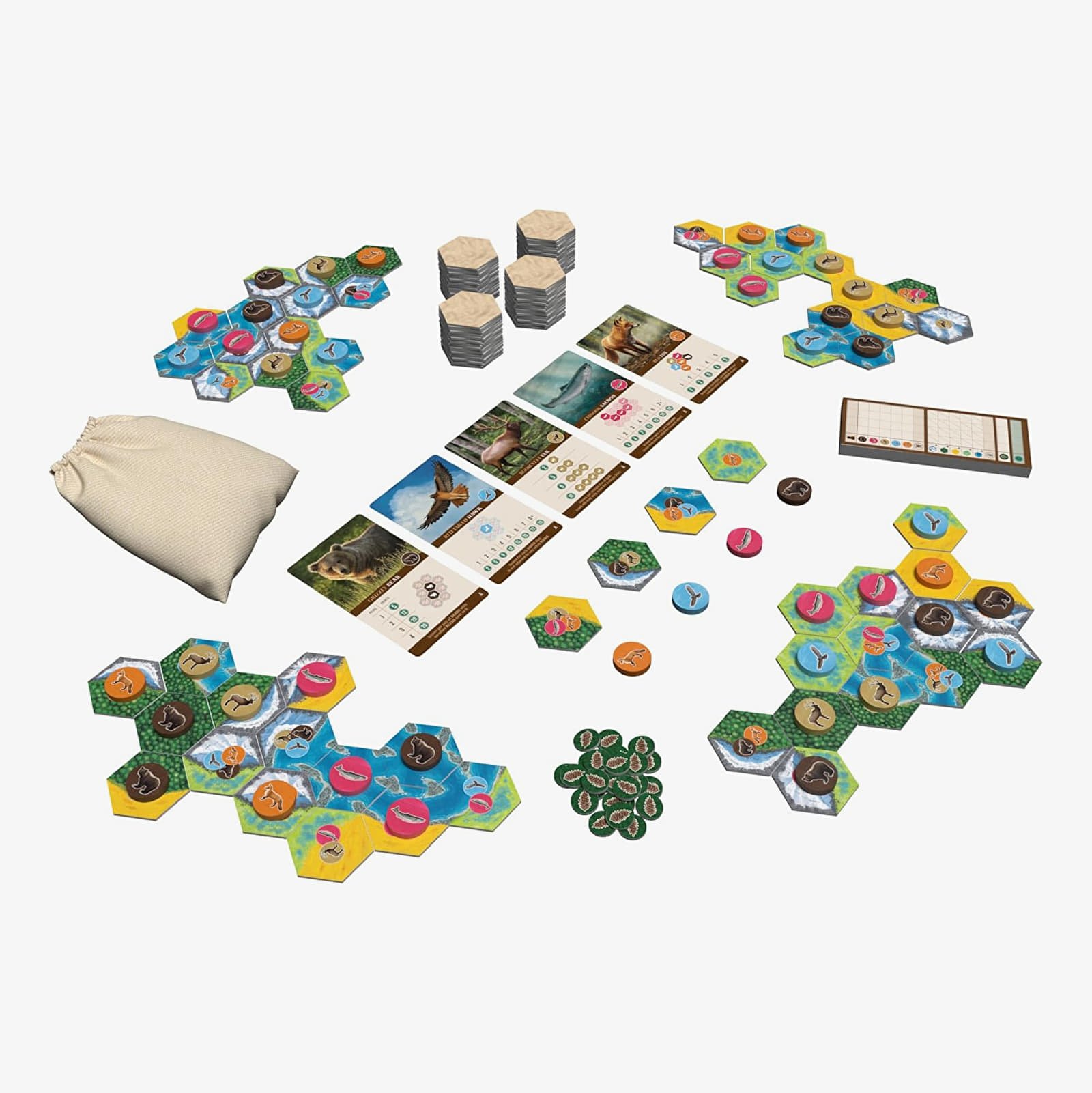 Brettspiele AEG Cascadia - EN Multicolor