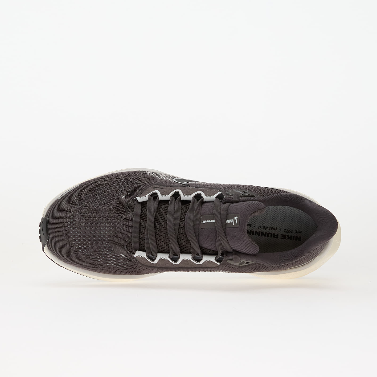 Sko til mænd Nike Pegasus 41 Medium Ash/ Black-Pure Platinum