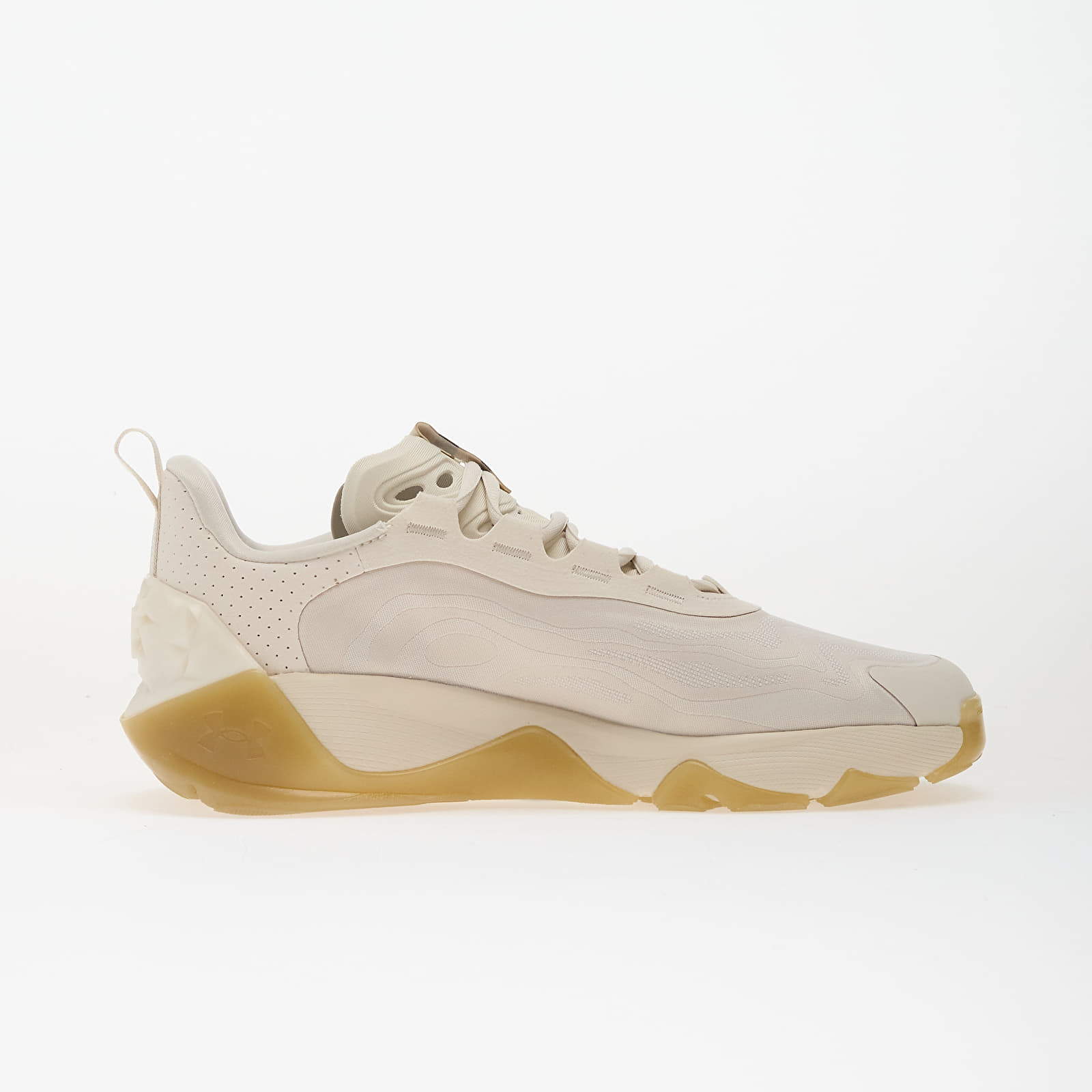 Sieviešu apavi Under Armour W Project Rock 8 Brown