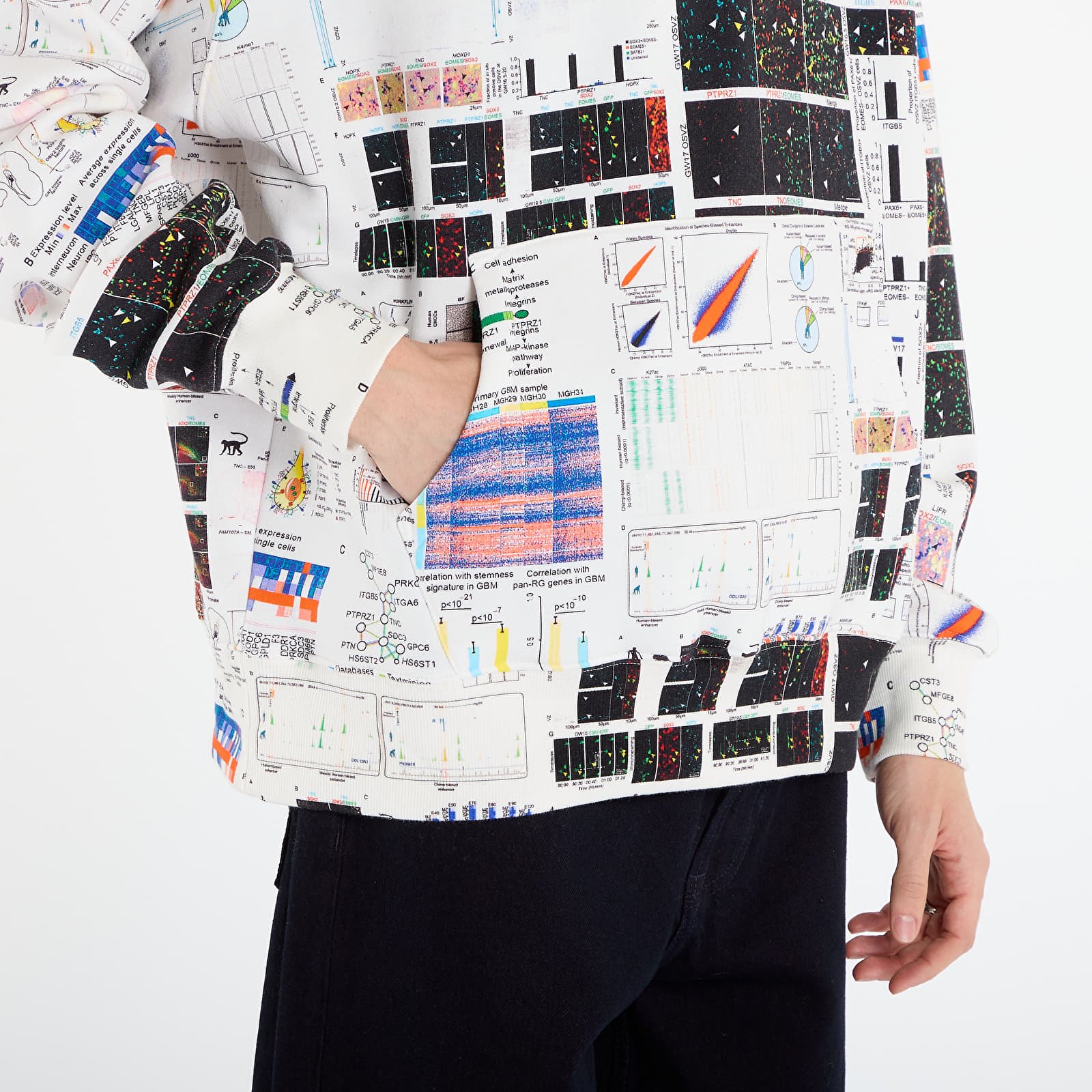 Hettegensere og sweatshirts PLEASURES Textbook Hoodie Multi