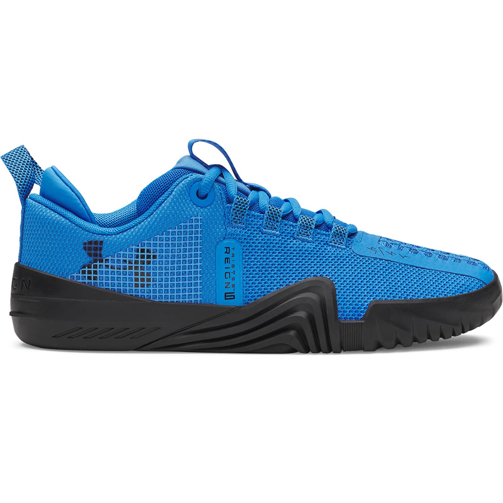 Herenschoenen Under Armour TriBase Reign 6 Blue