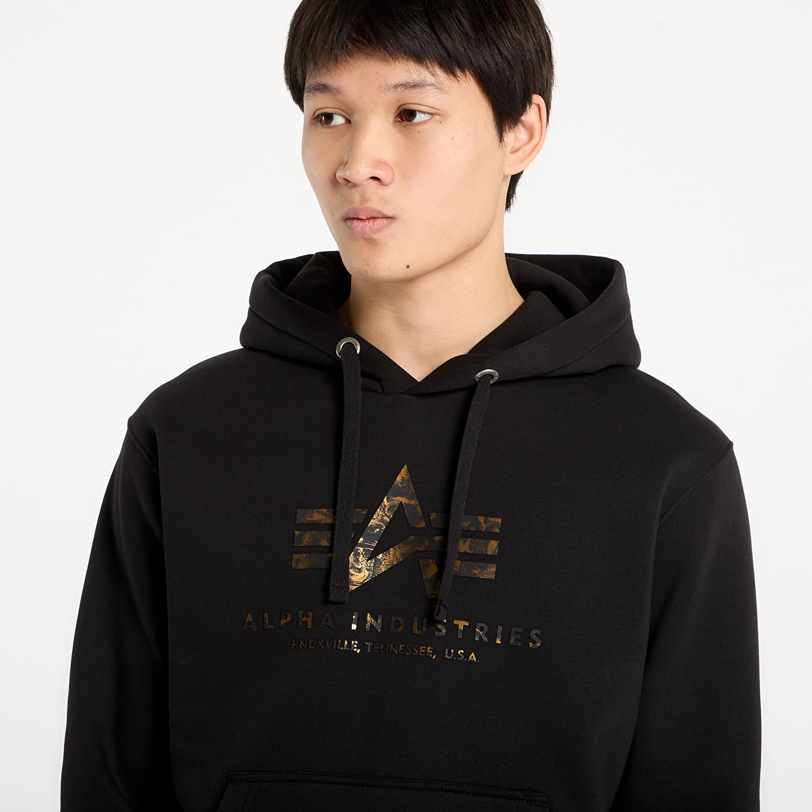 Sweatjacken und Sweatshirts Alpha Industries Basic Hoodie BL Effect Print Black