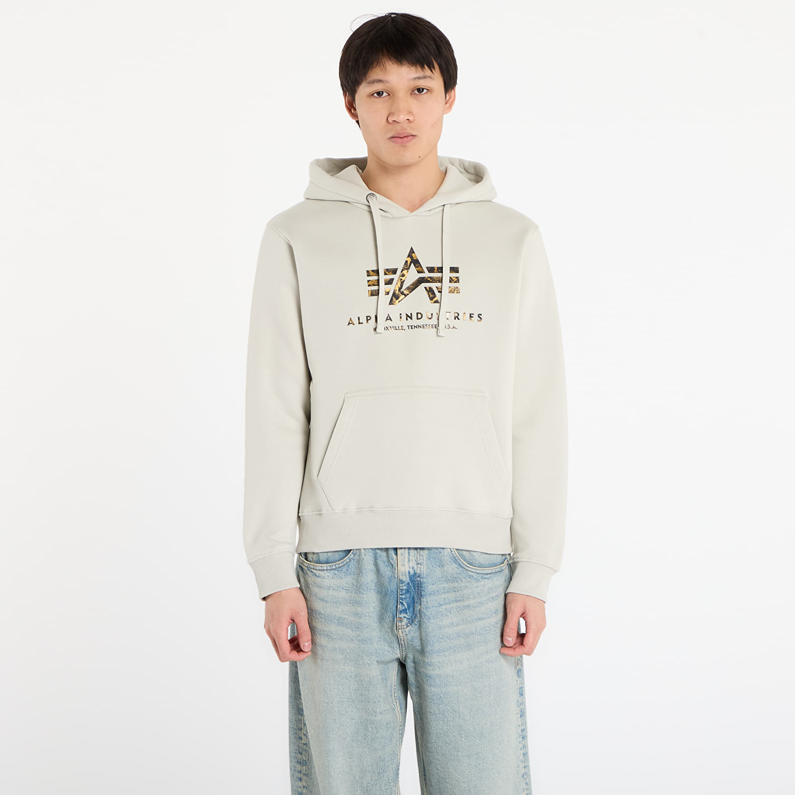 Sweatjacken und Sweatshirts Alpha Industries Basic Hoodie BL Effect Print Stone