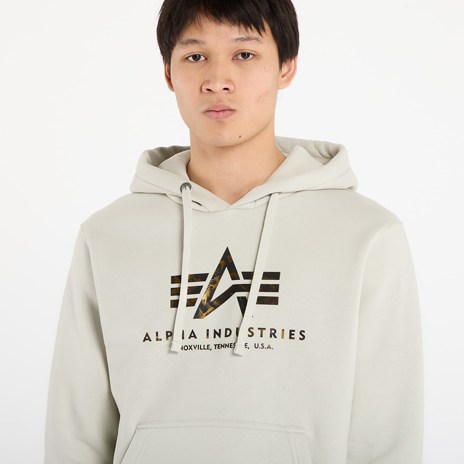 Sweatjacken und Sweatshirts Alpha Industries Basic Hoodie BL Effect Print Stone