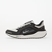 Nike Pegasus 41 Gore-Tex Black/ Summit White-Anthracite-Iron Grey