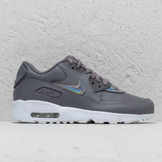 Women s shoes Nike Air Max 90 Leather GS Gunsmoke Gunsmoke