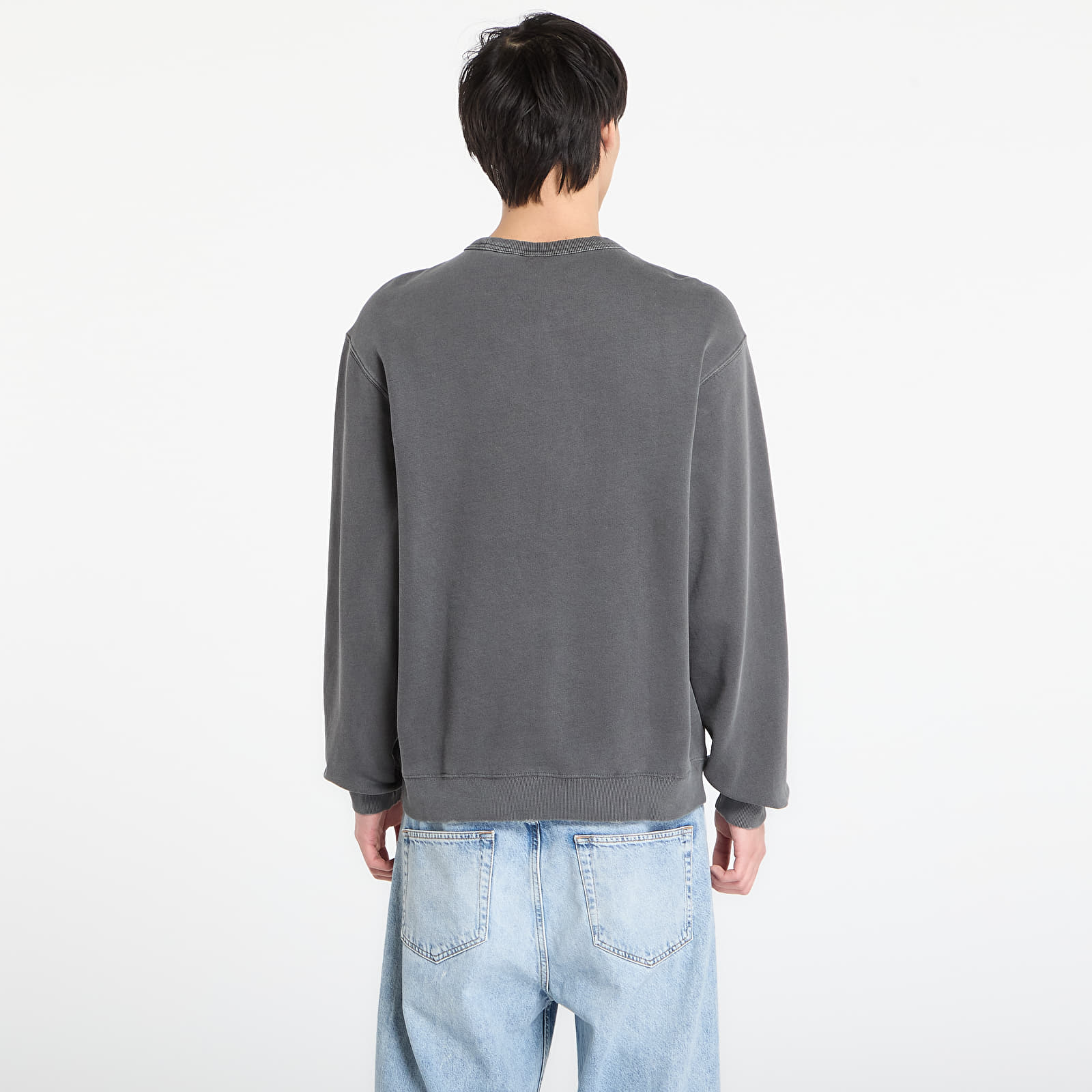 Sweatjacken und Sweatshirts Carhartt WIP Torion Sweat UNISEX Black