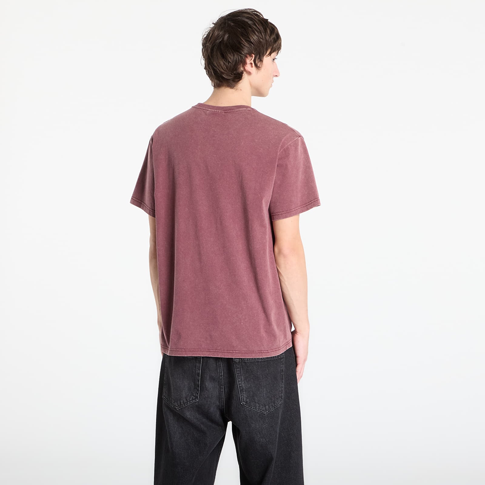 Marškinėliai RIPNDIP Lord Nermal Pocket Tee Burgundy Vintage Wash