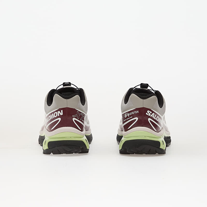 Salomon XT-6 GTX Paloma/ Maroob/ Buttrf | Footshop