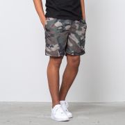 Shorts St ssy Camo Water Short Camo Footshop