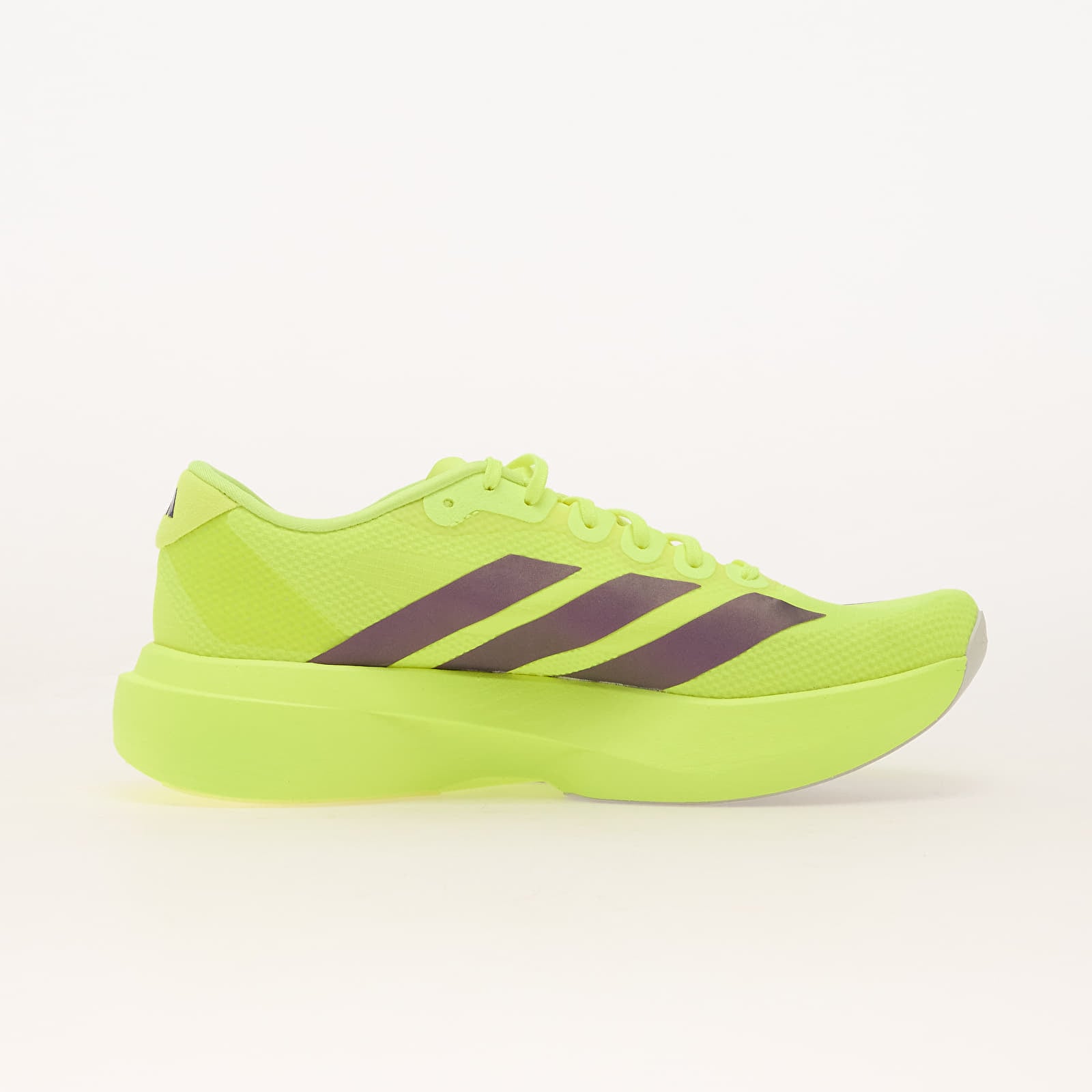 Ανδρικά παπούτσια adidas Adizero EVO SL Woven M Solar Yellow/ Aurora Plum/ Powder Plum